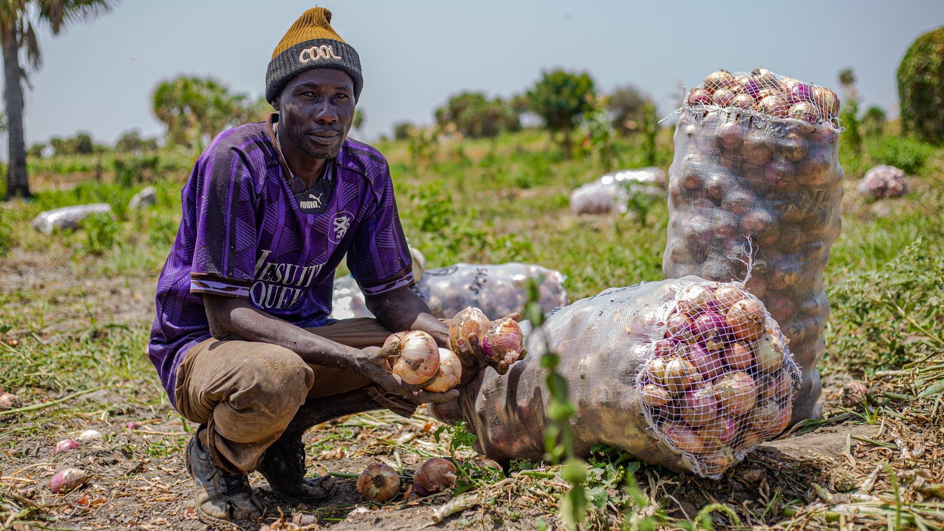 68593644735695781b0bcf1a48a441e6