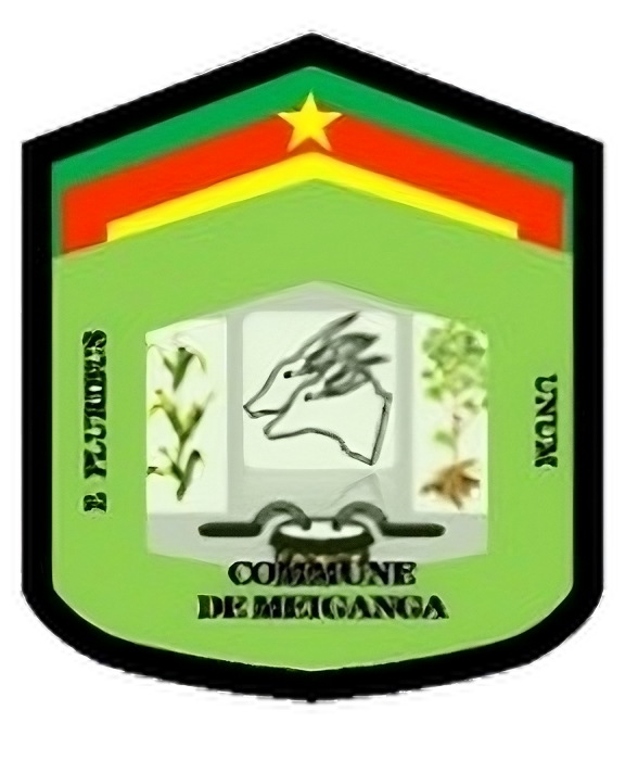 Festivals et Journées Culturelles