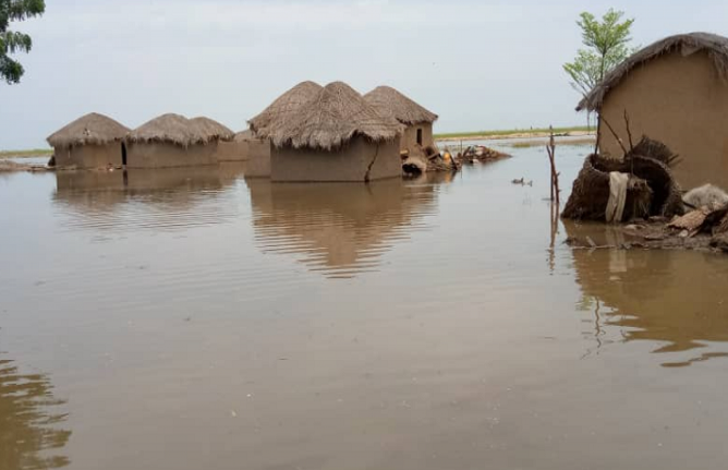 Région de l’Extrême-Nord : Trois communes touchées par les inondations